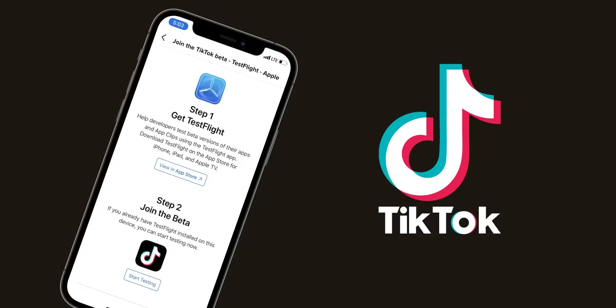 TikTok Beta App Update